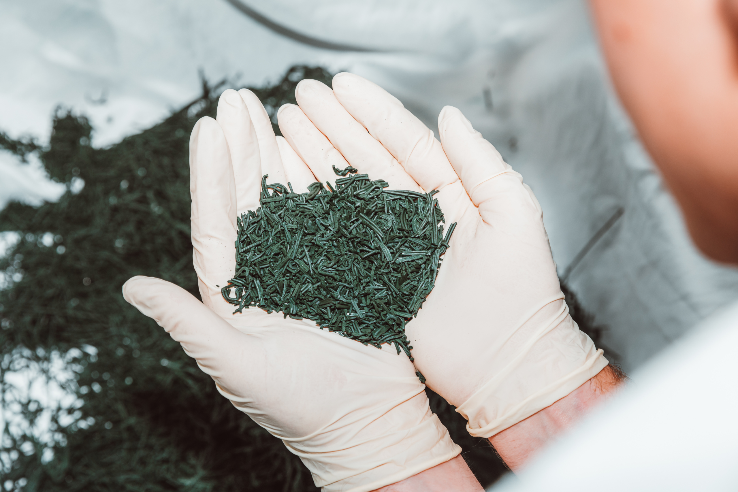 Schweizer Spirulina-Flocken, im Wallis bei niedriger Temperatur getrocknet