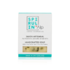 Savon à la spiruline  - Visage et corps